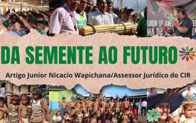 CIR: DA SEMENTE AO FUTURO