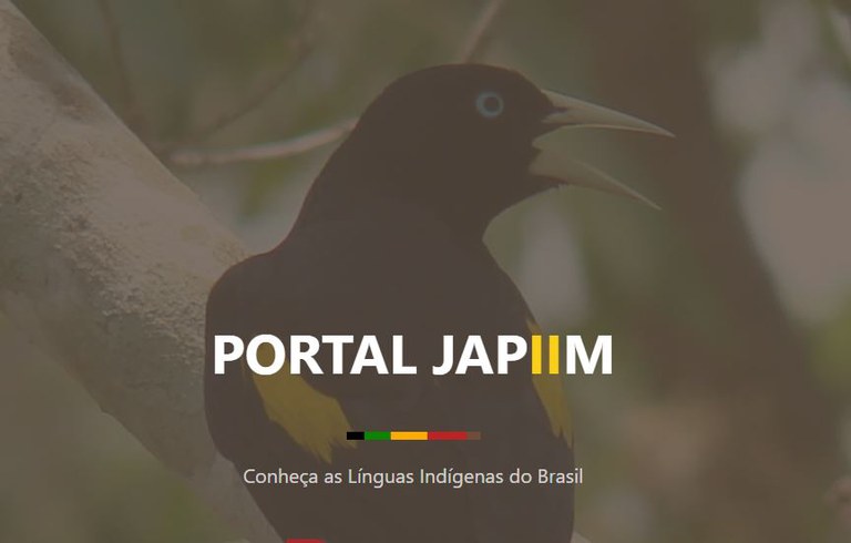 FUNAI: Tecnologia: Aplicativos de dicionários de línguas indígenas estão disponíveis para celular