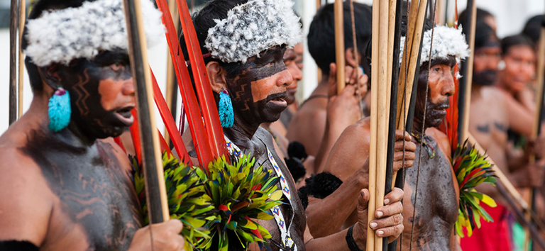 MINISTÉRIO DA SAÚDE: Ministério da Saúde envia equipes para elaborar diagnóstico sobre território Yanomami
