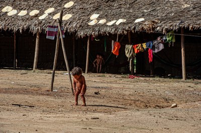 MPF: Procuradores detalham atuação do MPF no combate ao garimpo ilegal e aos desvios na saúde em território Yanomami
