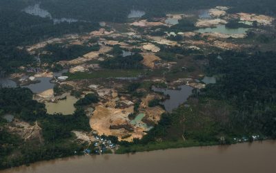 AMAZÔNIA REAL: Posição das empresas citadas