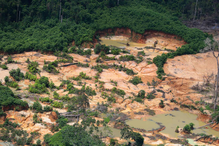FOLHA DE SÃO PAULO: Grupo garimpeiro do Pará fez ofensiva por ouro em área de Roraima próxima à TI Yanomami