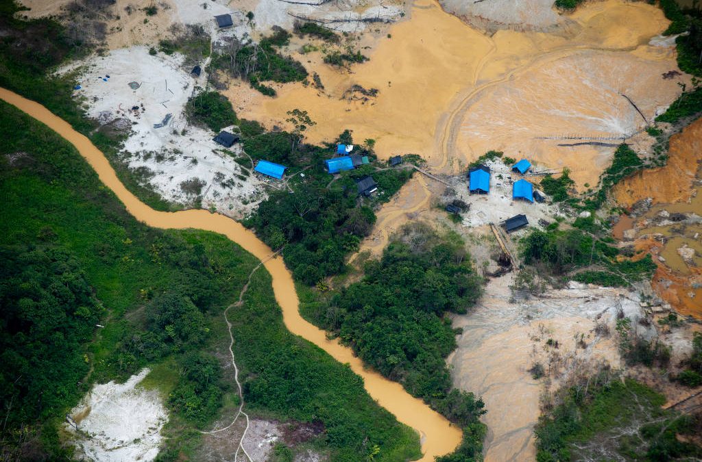 FOLHA DE SÃO PAULO: Como o garimpo ilegal ‘esquenta’ ouro de terras indígenas no Brasil