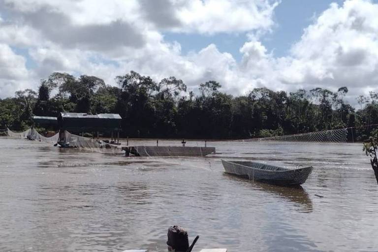 FOLHA DE S. PAULO: Lideranças indígenas temem novas ações de garimpeiros em Roraima