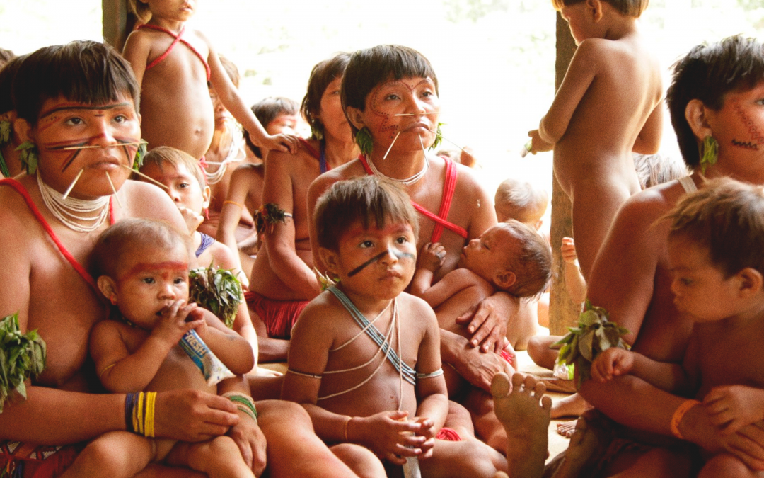 APIB: STF acolhe manifestação da APIB e determina investigação de crime de genocídio do governo Bolsonaro contra povo Yanomami