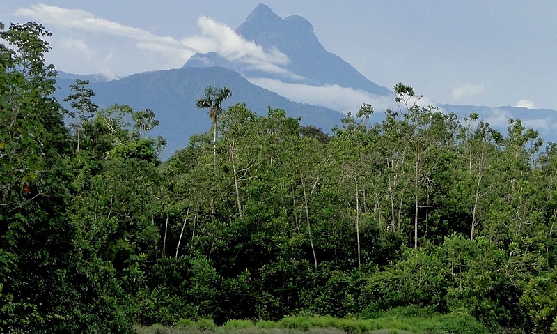 BRASIL DE FATO: Pico da Neblina vira destino de garimpeiros fugidos de Roraima, alertam lideranças Yanomami