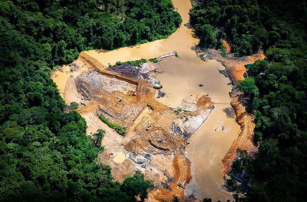 APIB: SOS Yanomami: Três indígenas são assassinados por garimpeiros e criança de um ano morre de desnutrição