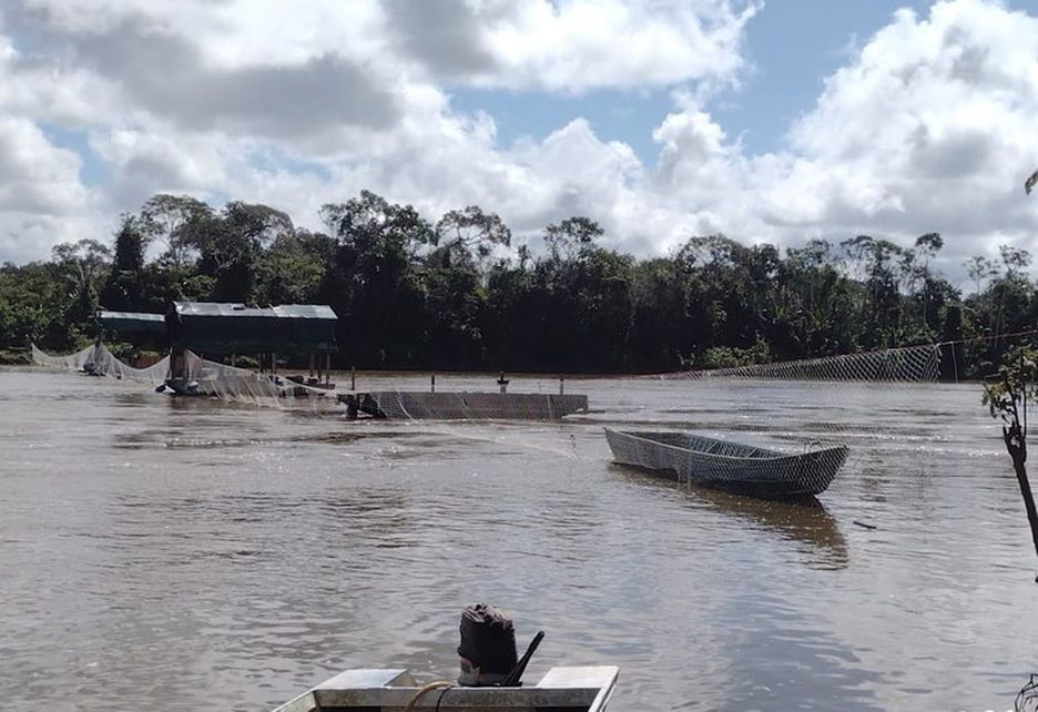 AMAZÔNIA NOTÍCIA E INFORMAÇÃO: Garimpeiros atacam base do Ibama dentro da terra indígena Yanomami