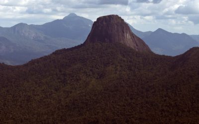FUNAI: Governo Federal estabelece procedimentos de acesso à Terra Indígena Yanomami durante emergência de saúde