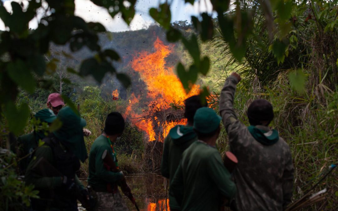 AMAZÔNIA REAL: Maranhão registra três assassinatos em terras indígenas em apenas uma semana