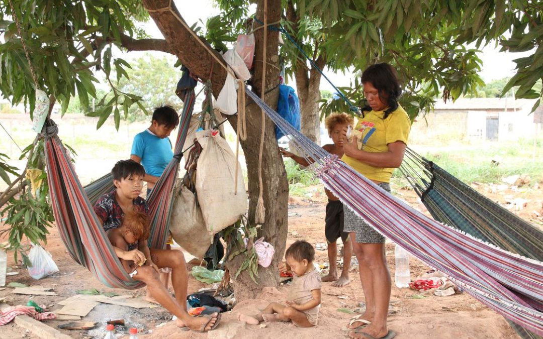 AMAZÔNIA NOTÍCIA E INFORMAÇÃO: Grupo yanomami vive às margens da BR-174 em Boa Vista