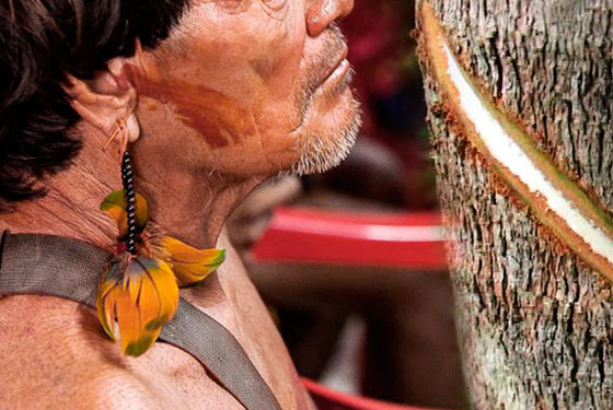 CNJ: Tribunal do Amazonas realiza ações para garantia dos direitos dos povos indígenas