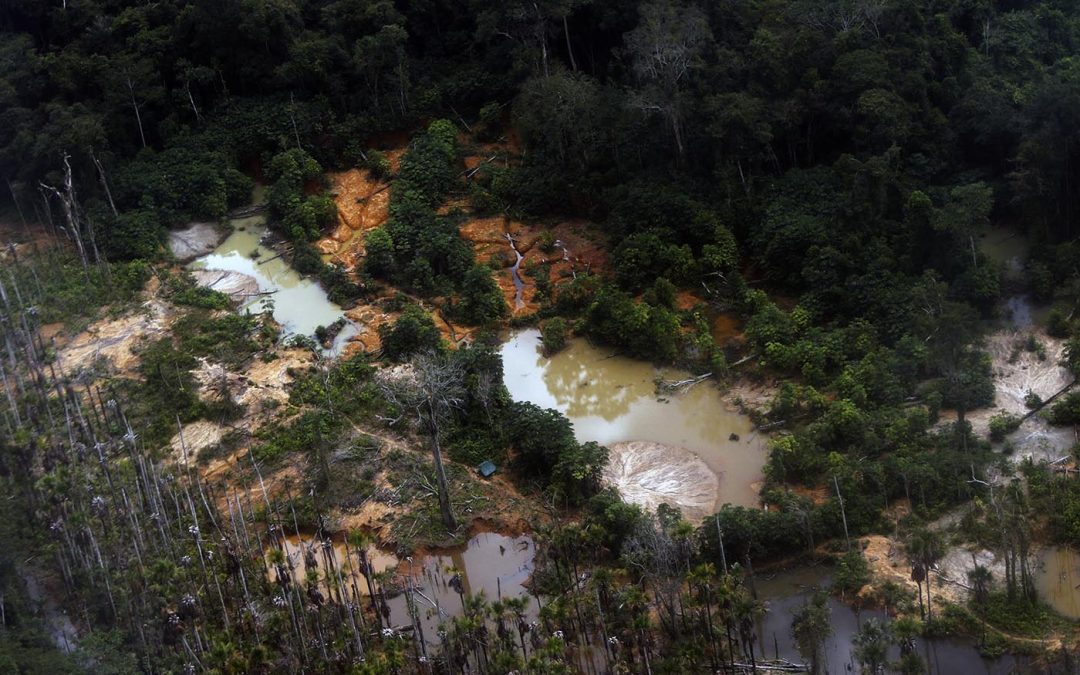 AMAZÔNIA REAL: Notas fraudulentas esquentavam ouro da TI Yanomami