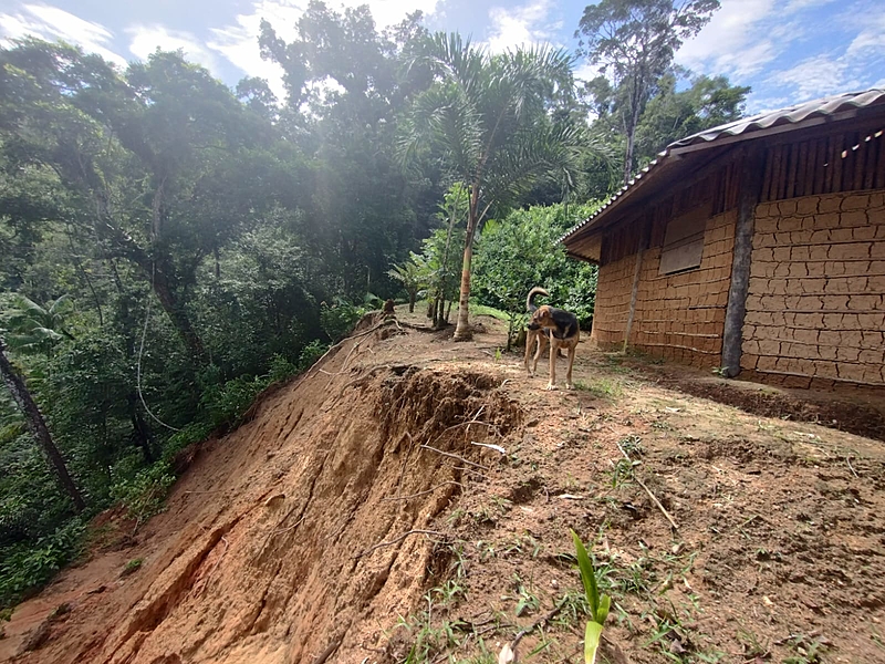 BRASIL DE FATO: Indígenas do litoral de SP relatam devastação da chuva e pedem ao STF urgência na demarcação