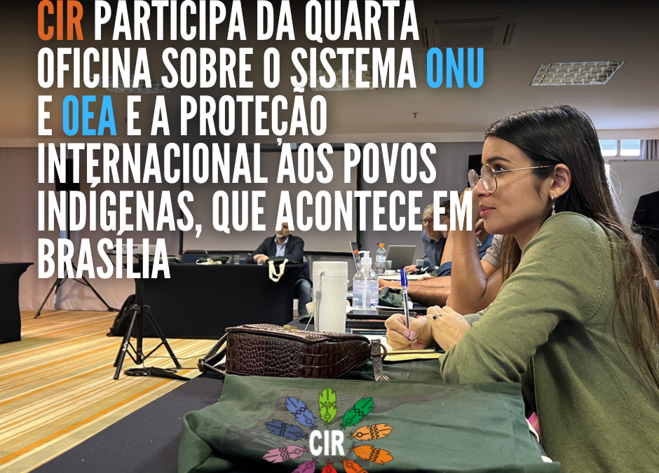CIR: CIR participa de Oficina sobre o Sistema ONU e OEA e a proteção internacional aos povos indígenas, que acontece em Brasília