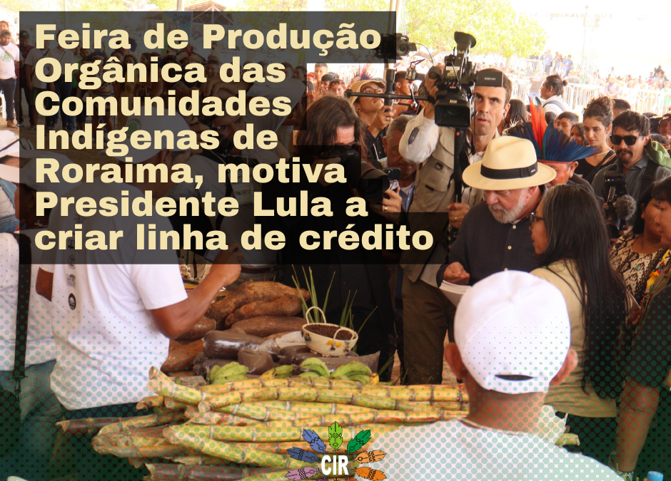 CIR: Feira de Produção Orgânica das comunidades Indígenas de Roraima, motiva Presidente Lula a criar linha de crédito