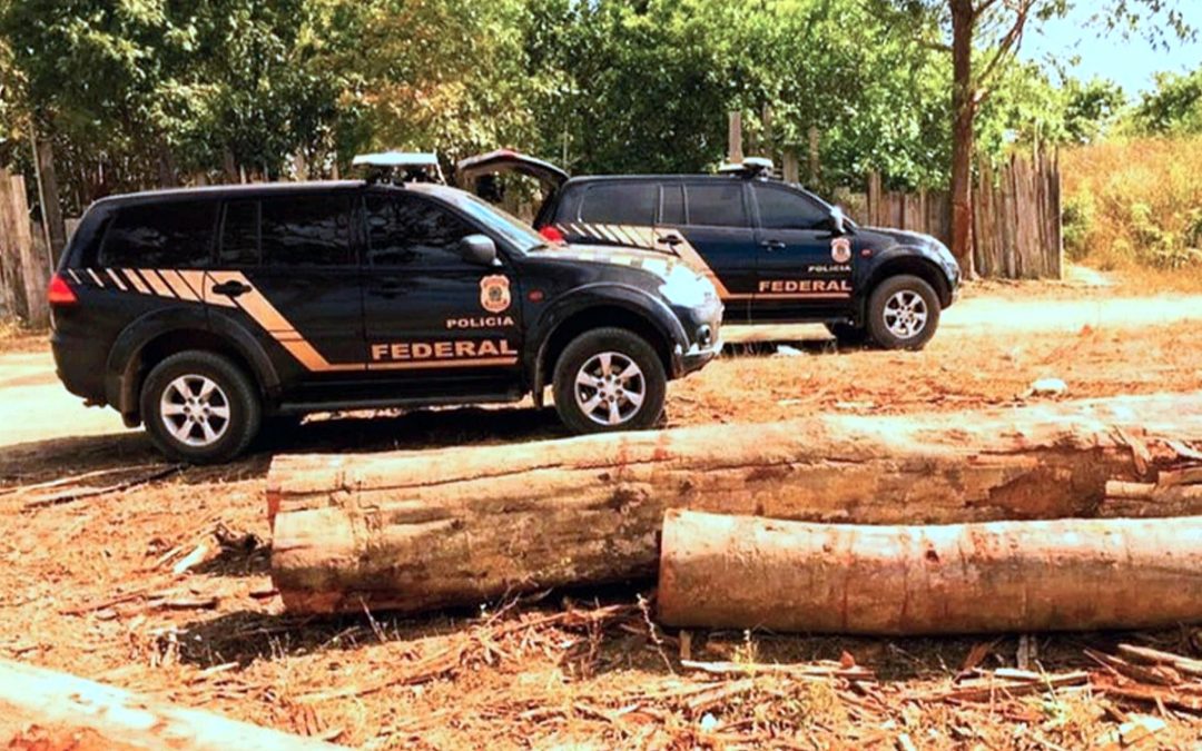 RBA: PF deflagra nova operação contra financiadores do garimpo em terras Yanomami