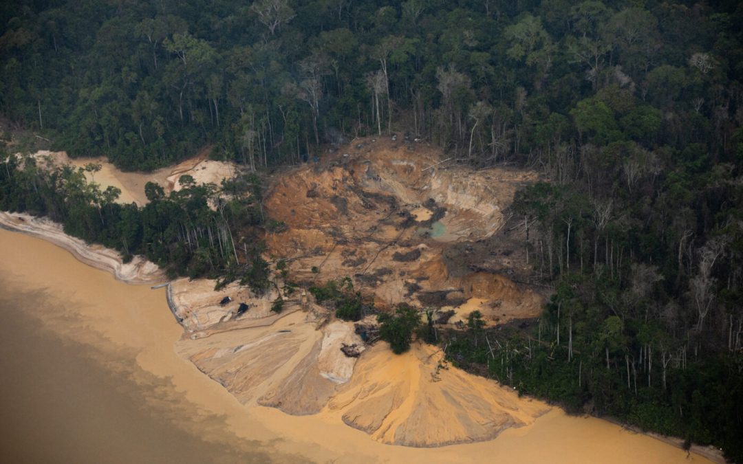 AMAZÔNIA REAL: Yanomami pedem 6,6 bilhões de reais de indenização por garimpo ilegal