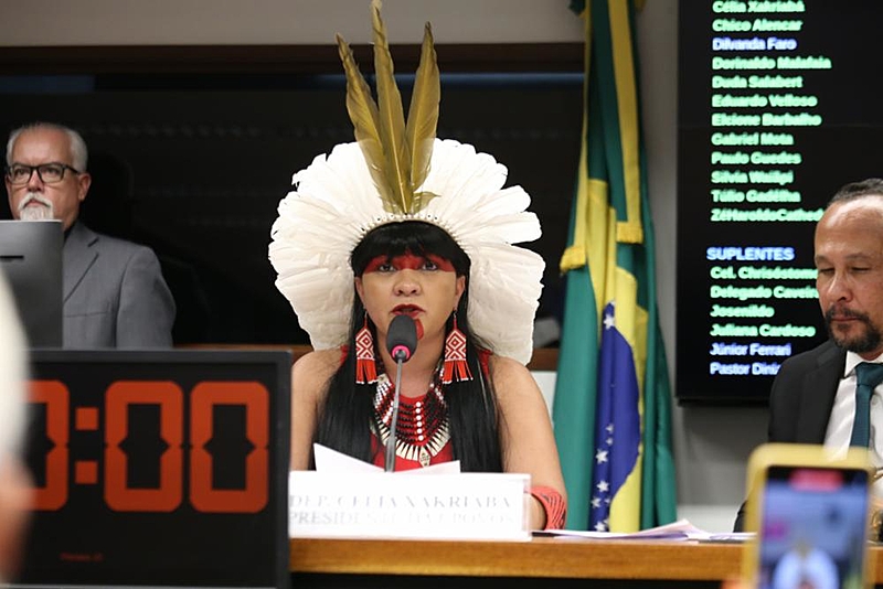 BRASIL DE FATO: Célia Xakriabá se torna primeira liderança indígena a presidir uma comissão no Congresso