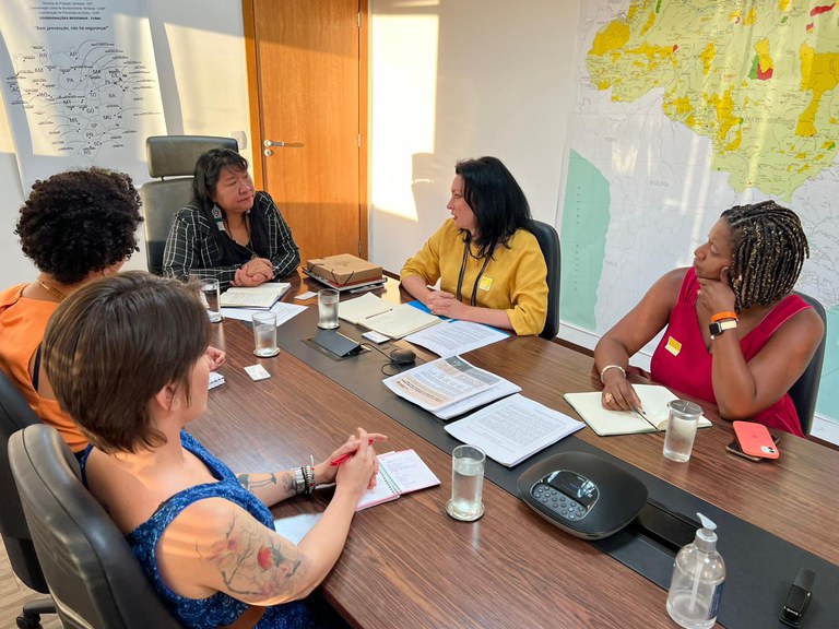 FUNAI: Funai e ONU Mulheres dialogam sobre garantia de direitos para indígenas