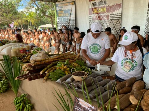 IEB: Em Assembleia histórica do CIR, feira orgânica demonstrou potencial de produção sustentável das comunidades indígenas em Roraima