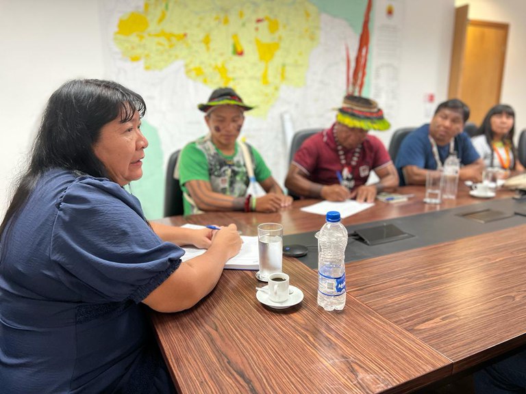 FUNAI: Indígenas Ka’apor pedem Plano de Proteção Territorial para a Terra Indígena Alto Turiaçu
