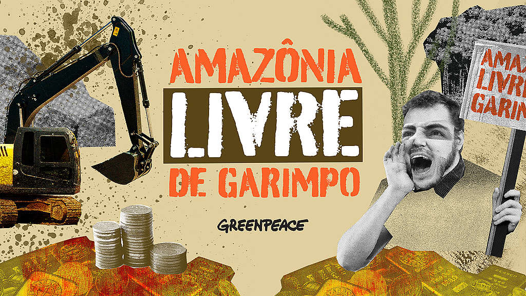 GREENPEACE: Garimpo ilegal na Amazônia: sua doação pode fazer a diferença!