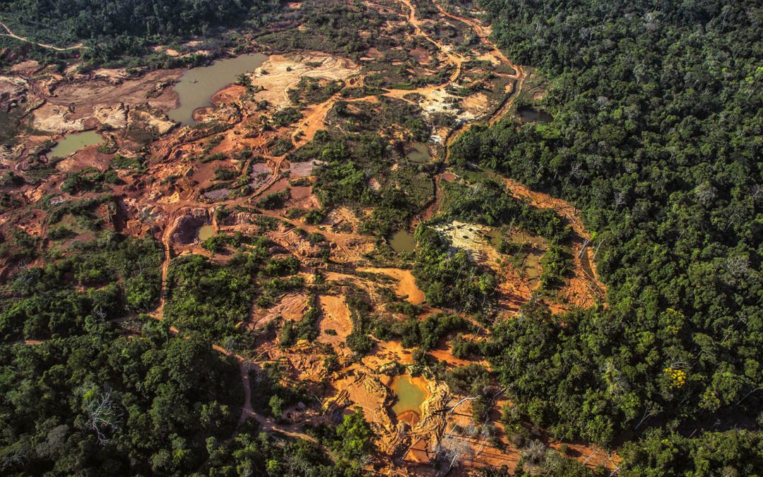 AMAZÔNIA REAL: Terra Roosevelt beira o colapso