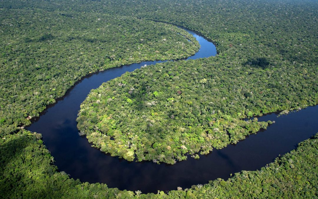 AMAZÔNIA REAL: Terras indígenas demarcadas ajudam na saúde pública, comprova pesquisa científica