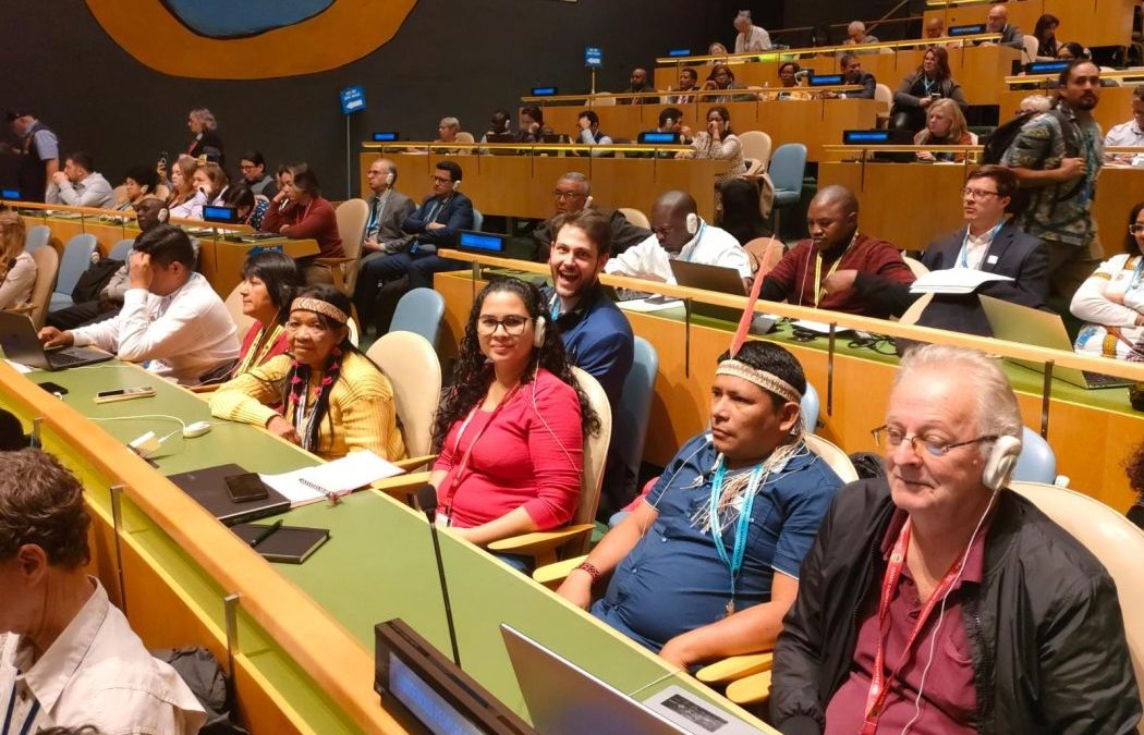 CIMI: Em Fórum da ONU sobre indígenas, Cimi manifesta preocupação com o futuro dos povos em isolamento voluntário