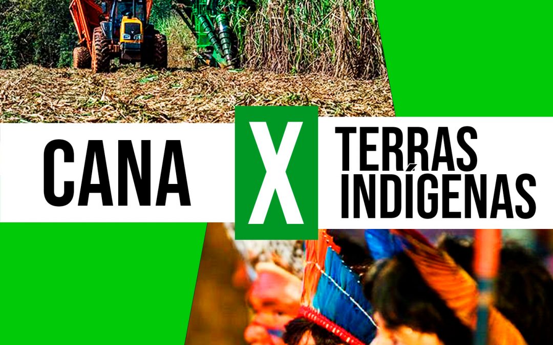 DE OLHO NOS RURALISTAS: Multinacionais da cana avançam sobre território Guarani Kaiowá no Mato Grosso do Sul