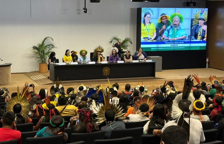 CÂMARA: Debatedores defendem união de povos originários e tradicionais para evitar perda de direitos