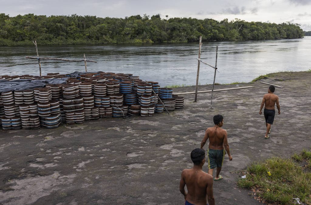 FOLHA DE S. PAULO: Yanomamis resgatados de trabalho escravo na piaçaba foram os últimos a serem indenizados