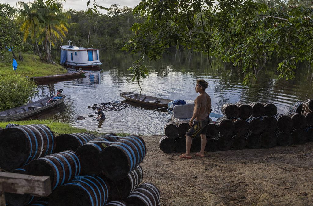 FOLHA DE S. PAULO: Yanomamis são explorados na piaçaba em longas jornadas e dívidas por farinha e gasolina