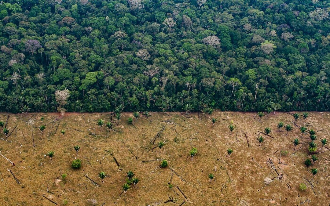 AMAZÔNIA REAL: Funai e Incra reconhecem PAD Burareiro como Terra Indígena