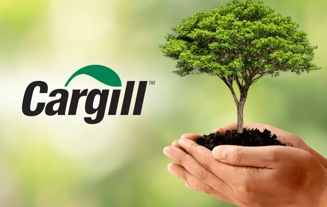 DE OLHO NOS RURALISTAS: Denunciada por “soja suja” na OCDE, Cargill tem parceiros com sobreposição em terras indígenas