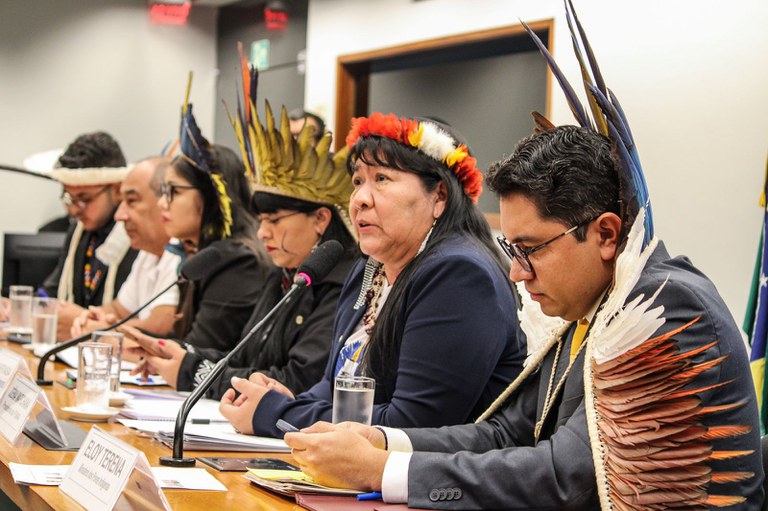 FUNAI: “PL 490/07 e marco temporal colocam em risco os direitos dos povos indígenas”, alerta presidenta da Funai