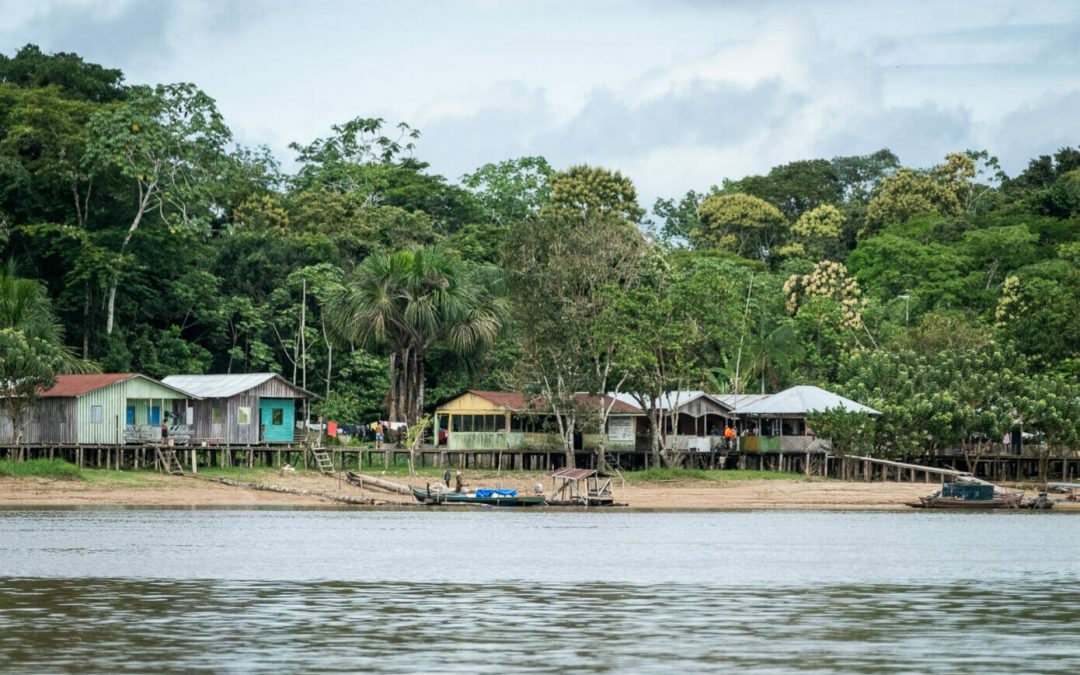 AMAZÔNIA REAL: Caso Bruno e Dom: testemunha afirma ter sido abandonada 