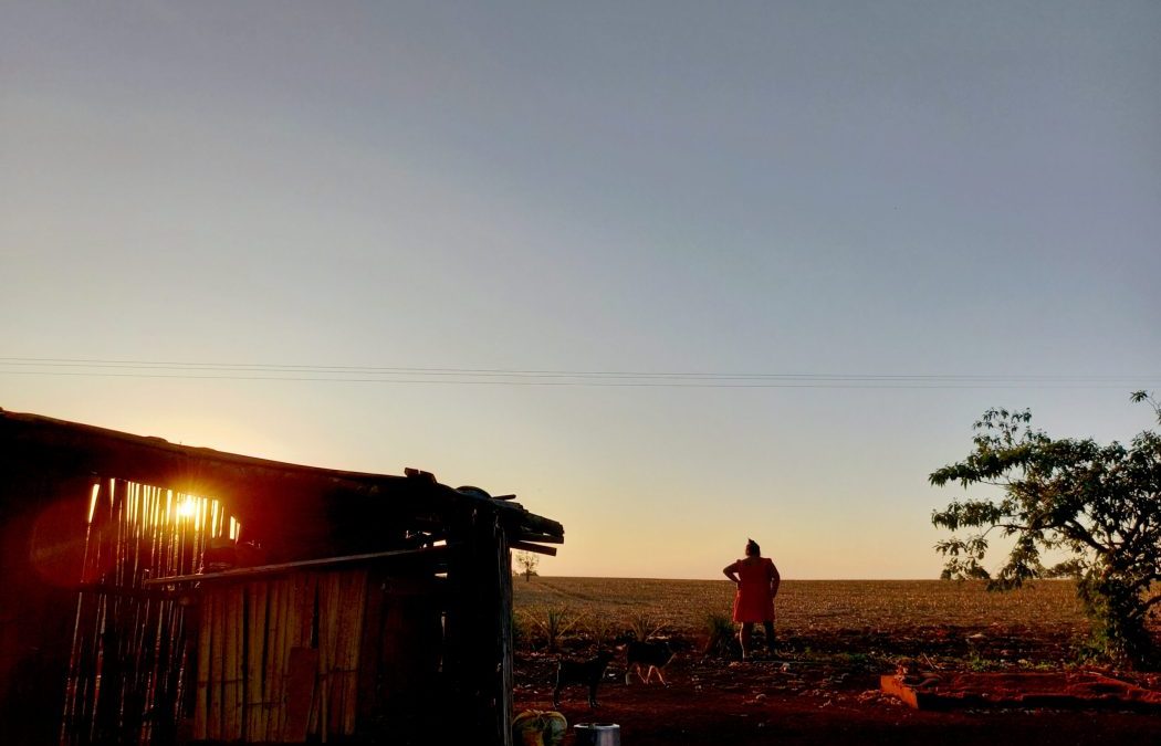 CIMI: Lançamento: Soja, milho e pecuária dominam 60% de território do povo Avá-Guarani (PR), revela estudo