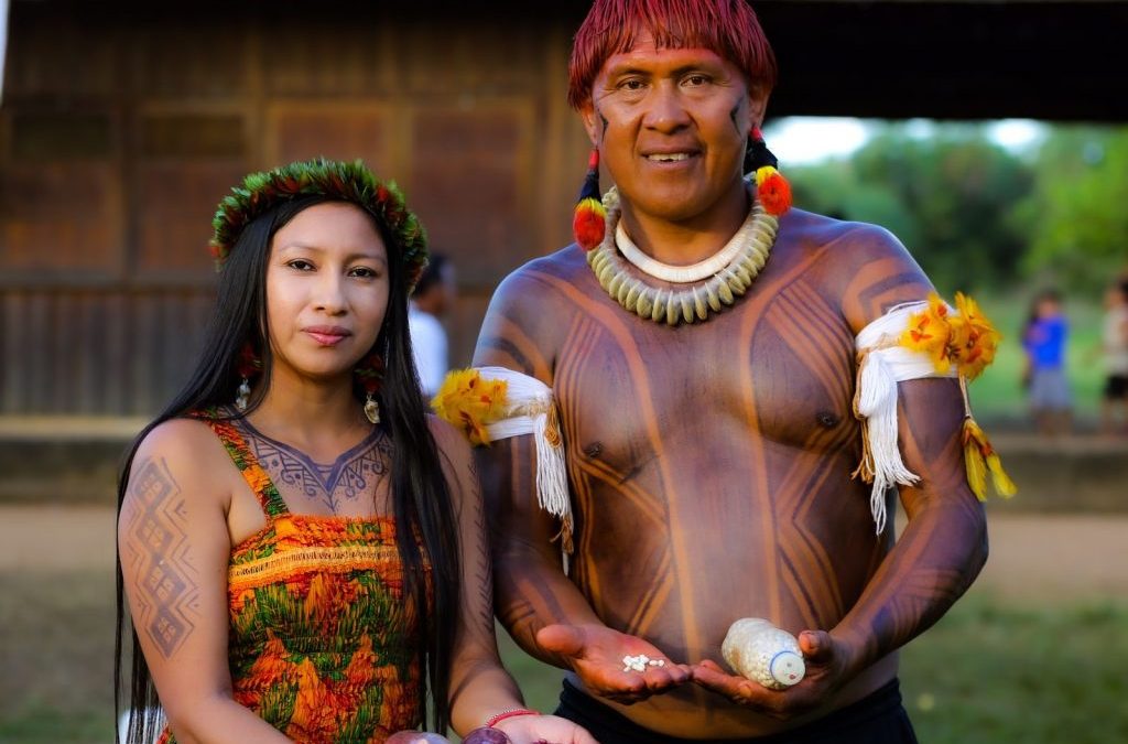 CIR: Sementes tradicionais e artesanatos de Roraima são expostos em feira de produtos no território indígena Xingu