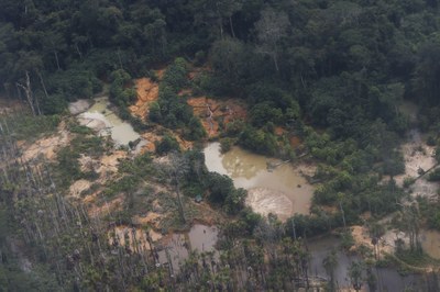 MPF: MPF cobra informações sobre retirada de garimpeiros ilegais da Terra Indígena Yanomami em Roraima