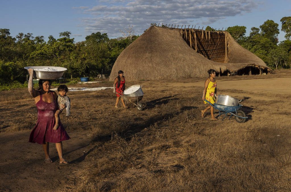 FOLHA DE S. PAULO: HC desenvolve programa para rastrear câncer do colo do útero em indígenas do Xingu