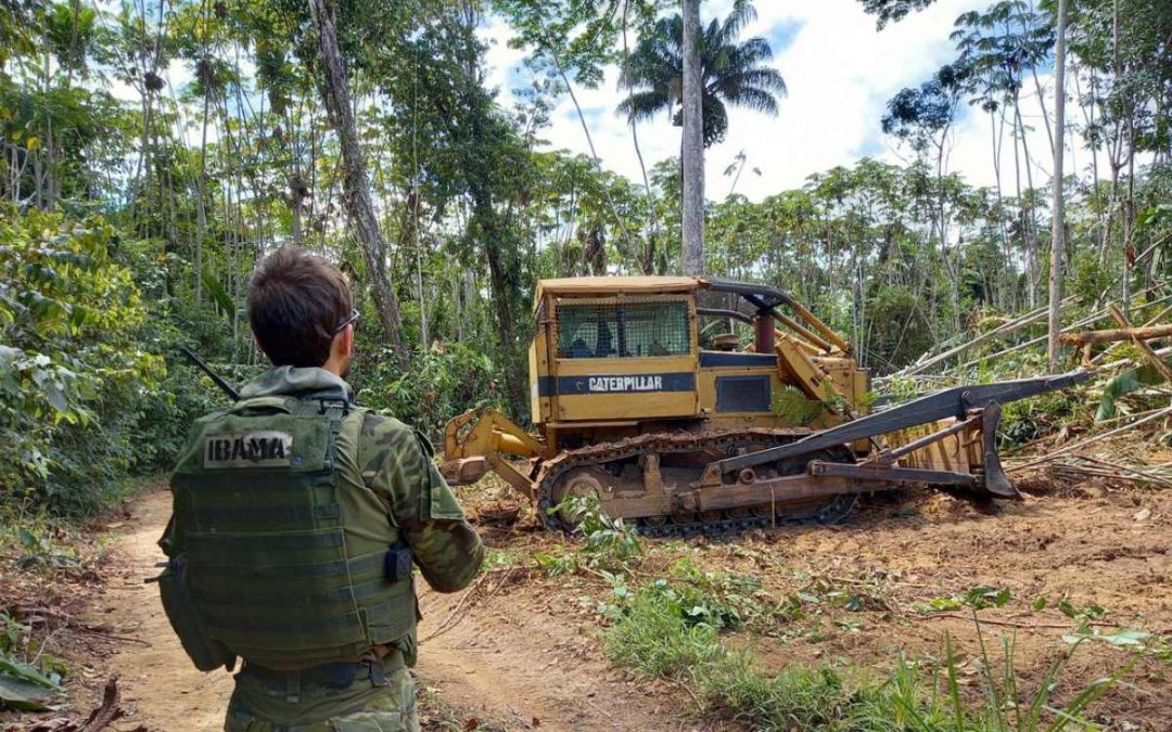 RBA: No Brasil, 42 políticos têm fazendas ilegais dentro de terras indígenas