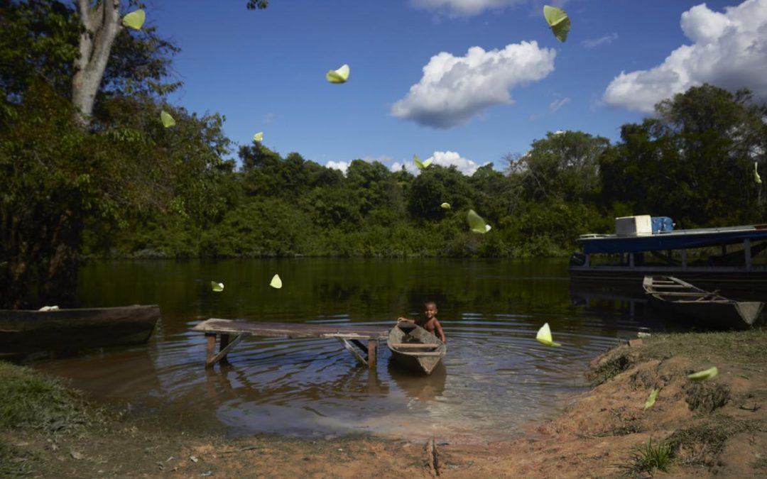 ISA: No Xingu, a economia do futuro fica a dois dias de barco, subindo o rio