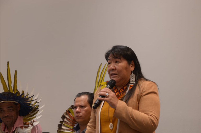 FUNAI: Funai participa de evento de Acolhimento dos Coordenadores dos Distritos Sanitários Especiais Indígenas em Brasília