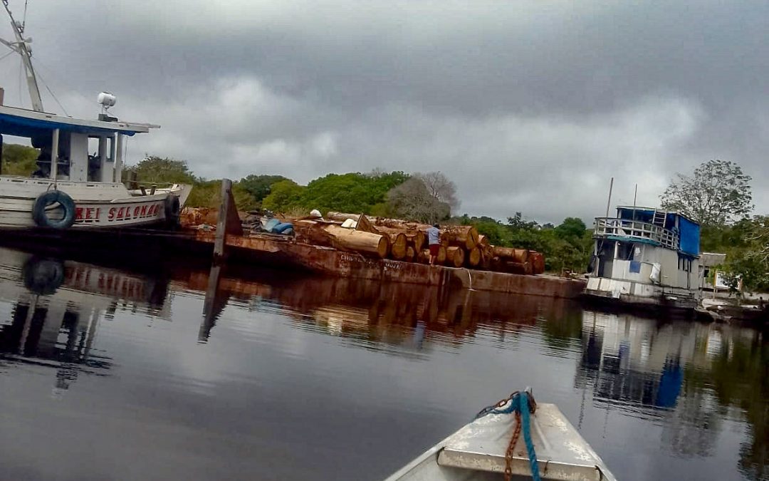 AMAZÔNIA REAL: Jovem indígena Sateré-Mawé está desaparecido em área de conflito ambiental há quase dois meses