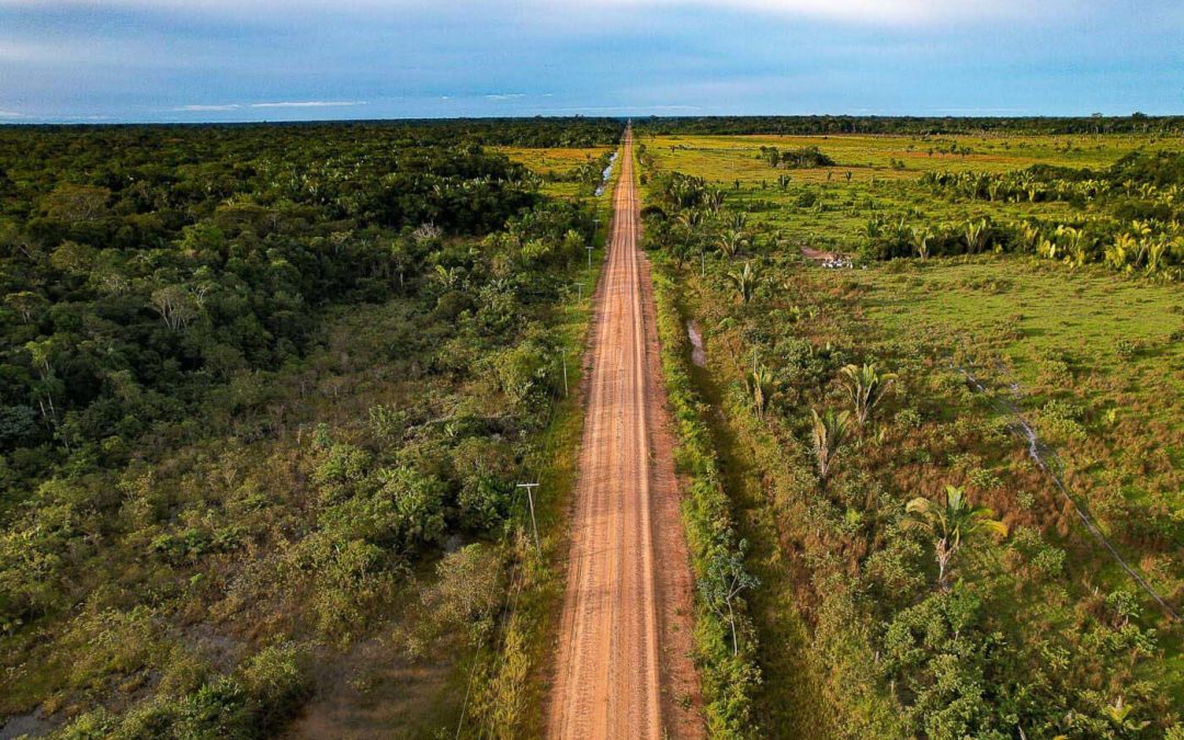 AMAZÔNIA REAL: Uma BR-319 no meio do caminho
