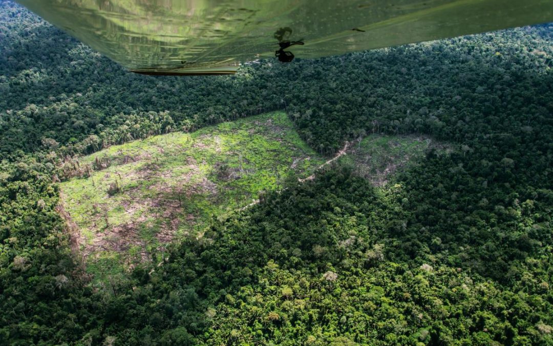 ISA: CAR de cartório