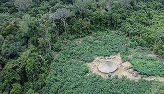 STF: Partido quer declaração vedando concessão florestal em áreas indígenas e quilombolas