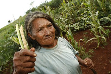 FUNAI: Indígenas poderão comprovar atividade rural para acessar benefícios